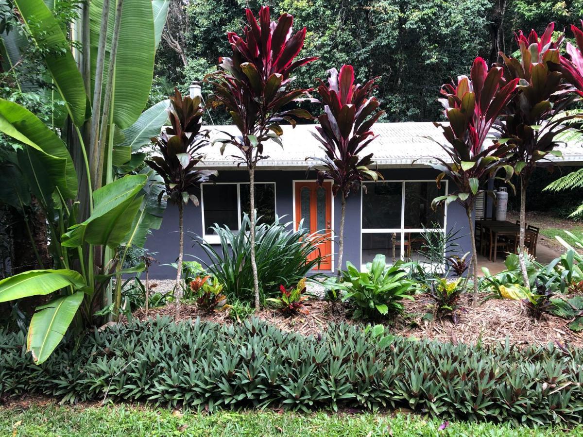 Honeybee House Villa Куранда Екстериор снимка
