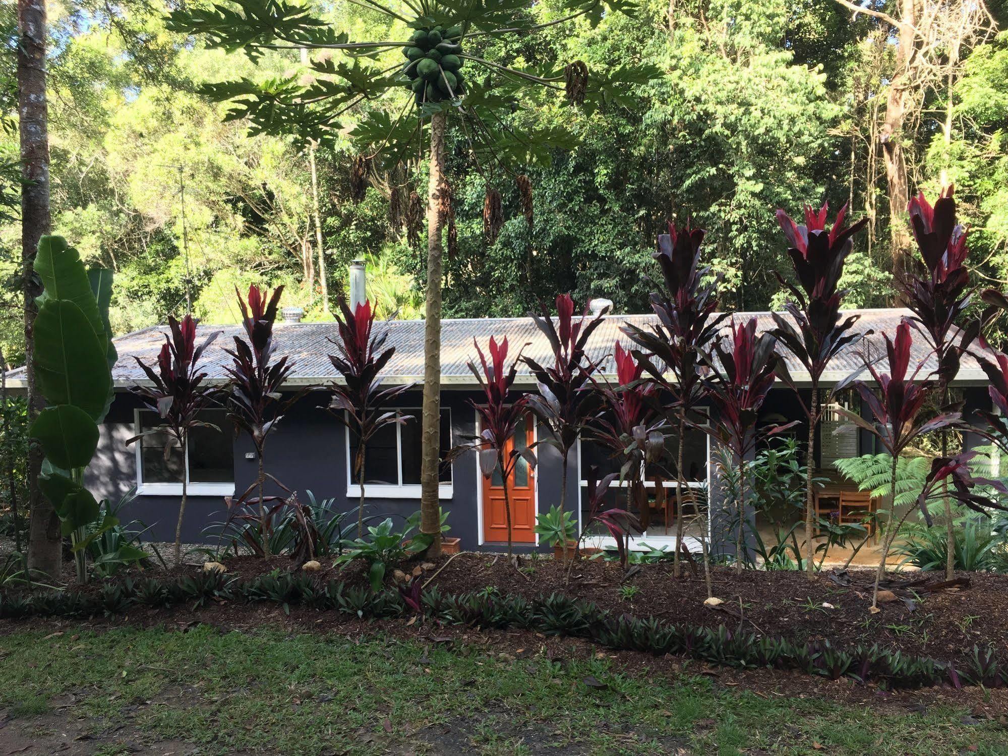 Honeybee House Villa Куранда Екстериор снимка